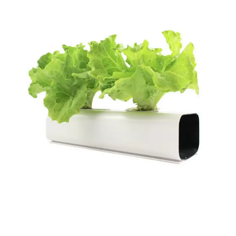 Hydroponic Nft Channel - قناة NFT هيدروبونيك مخصصة من PVC