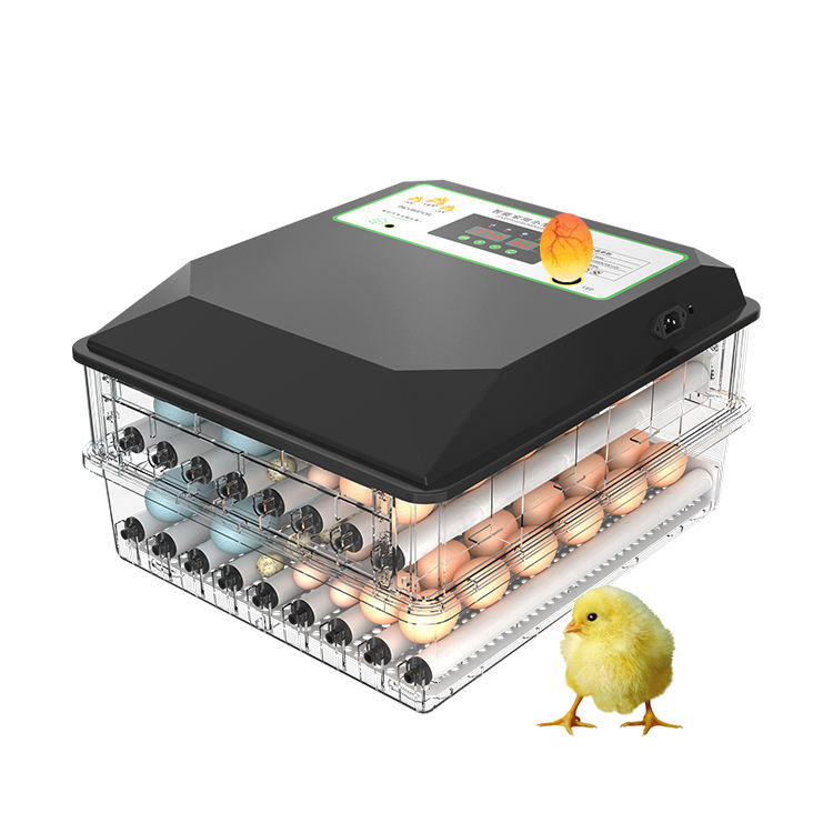 Poultry Incubator - حاضنة بيض دواجن أوتوماتيكية واسعة الاستخدام،