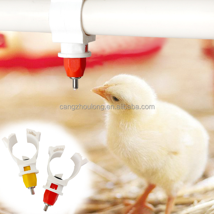 Chicken Nipple Drinker - YYW LM44 الأكثر مبيعًا: مشرب حلمات