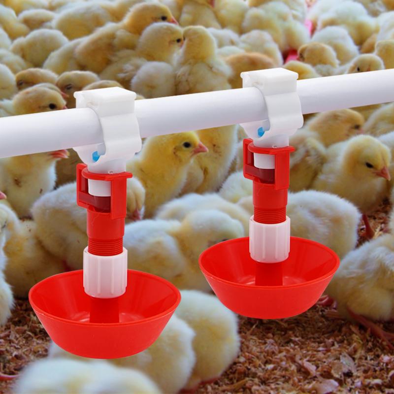 Chicken Nipple Drinker - 5/10/20 قطعة التلقائي الدجاج المياه الحلمة