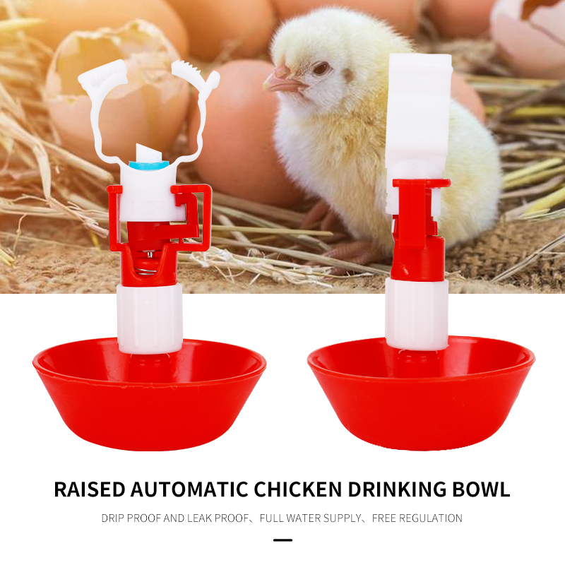 Chicken Nipple Drinker - 5/10 مجموعات التلقائي الدجاج المياه الحلمة
