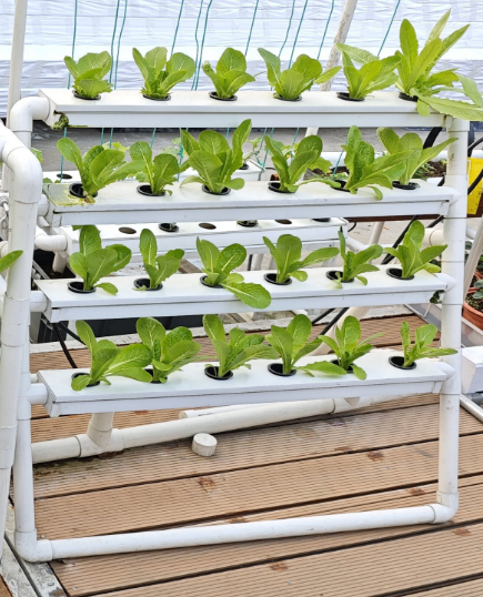 نظام الزراعة المائية العمودي ا - مراجعة Hydroponic Nft Channel وسعره