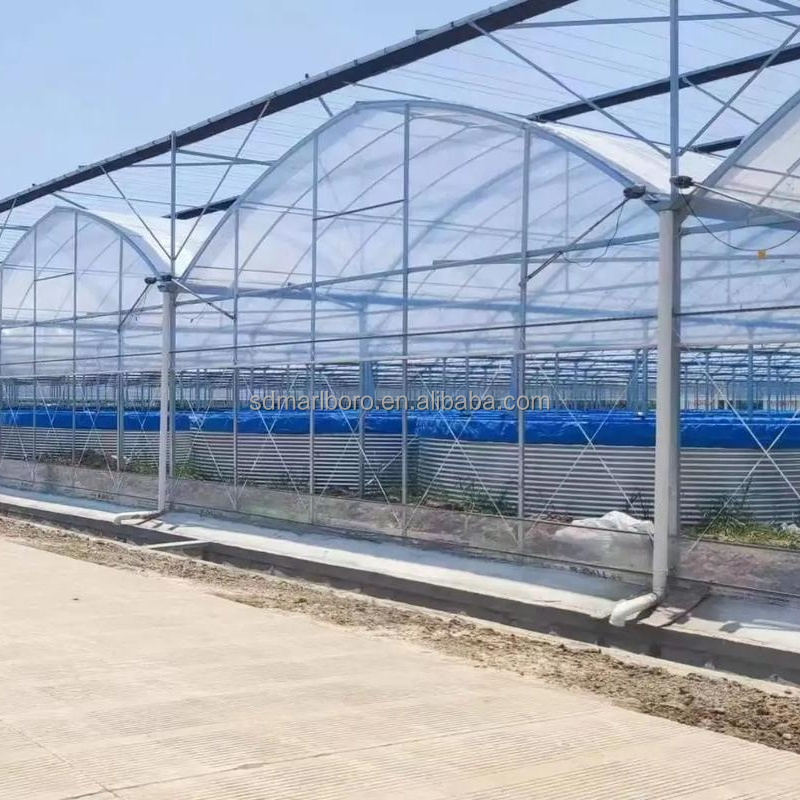 بطانة بركة أسماك بلاستيكية كبي - مراجعة Farm Pond Liner وسعره