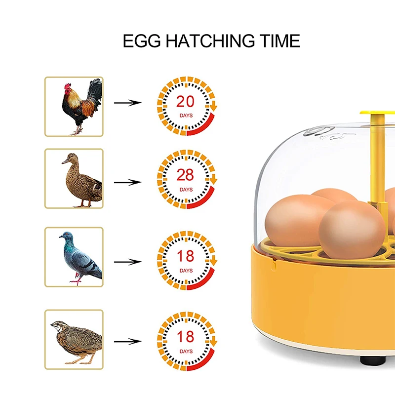 حاضنة تفريخ الدواجن الأوتوماتي - مراجعة Poultry Incubator وسعره