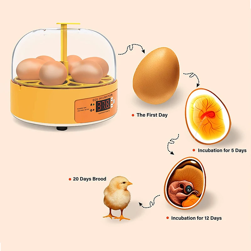 حاضنة تفريخ الدواجن الأوتوماتي - مراجعة Poultry Incubator وسعره