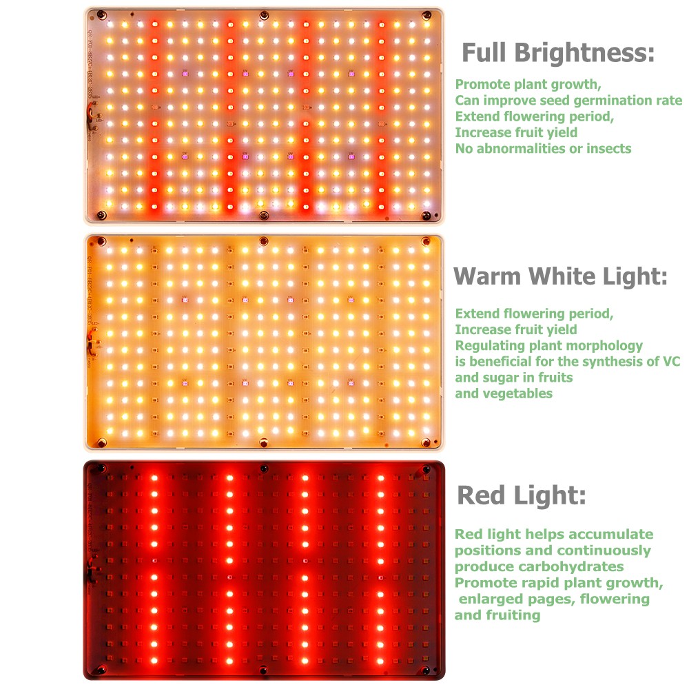 قابل للتعديل توقيت Led تنمو ضو - مراجعة Hydroponic Nft Channel وسعره