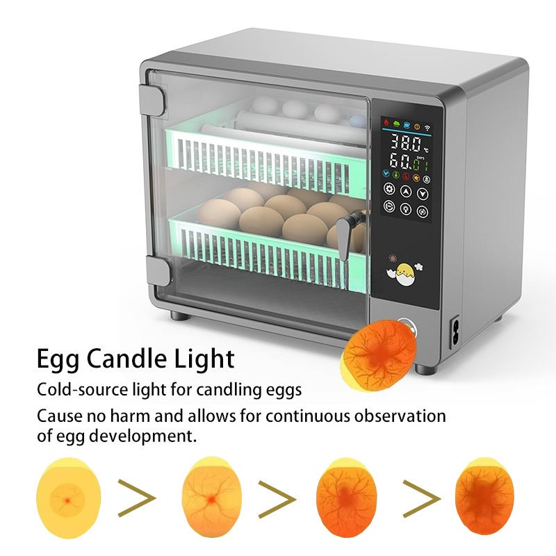 حاضنة بيض أوتوماتيكية بالكامل  - مراجعة Poultry Incubator وسعره