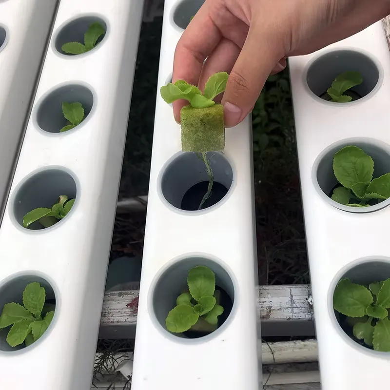 قناة NFT هيدروبونيك مخصصة من P - مراجعة Hydroponic Nft Channel وسعره