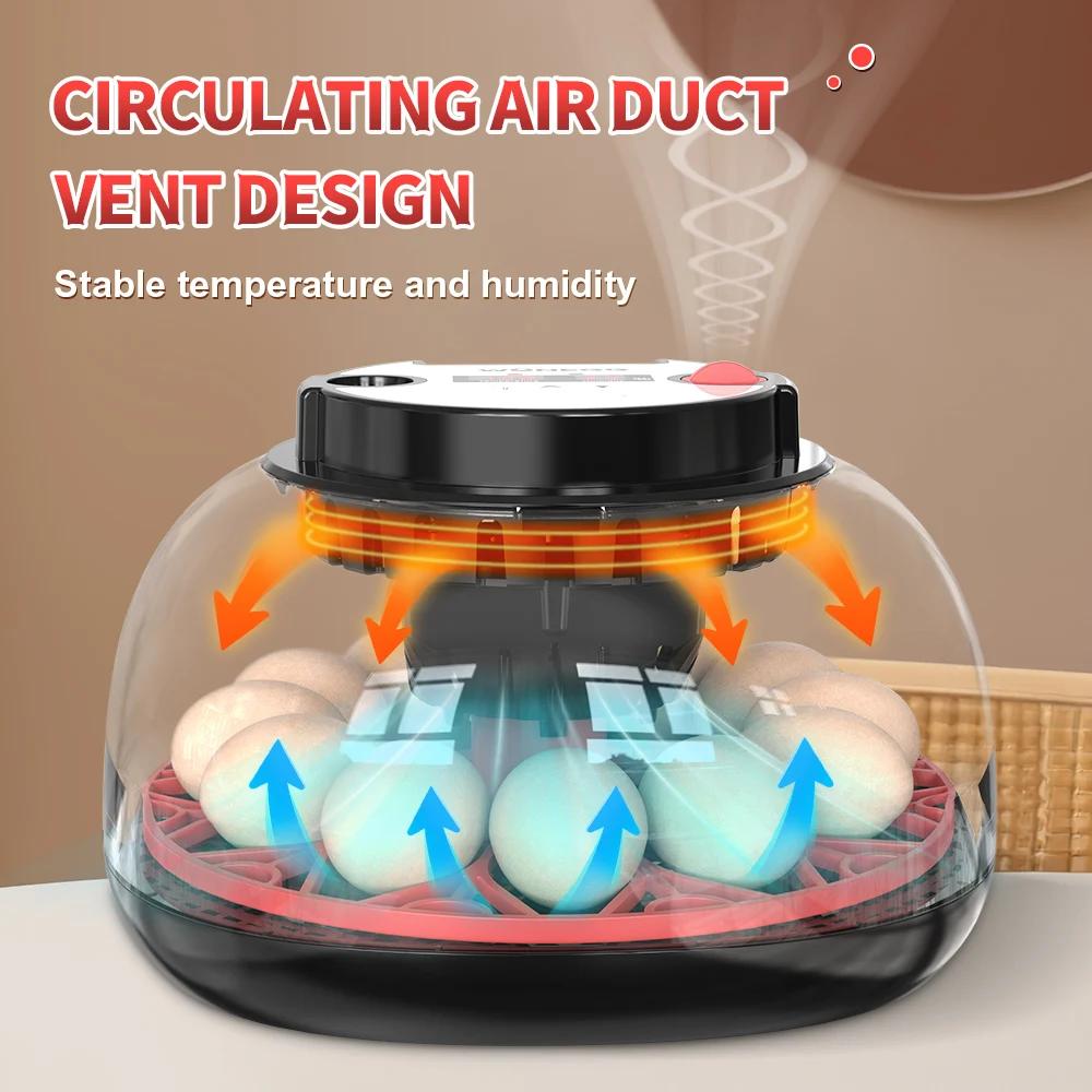 حاضنة بيض أوتوماتيكية سعة 12 ب - مراجعة Poultry Incubator وسعره