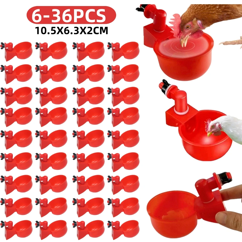 6-36 قطعة كوب شرب البط الدجاج  - مراجعة Chicken Nipple Drinker وسعره