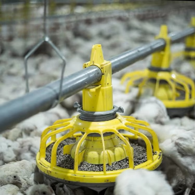 المعدات الزراعية للدجاج والدوا - مراجعة Farming Agriculture Equipment وسعره
