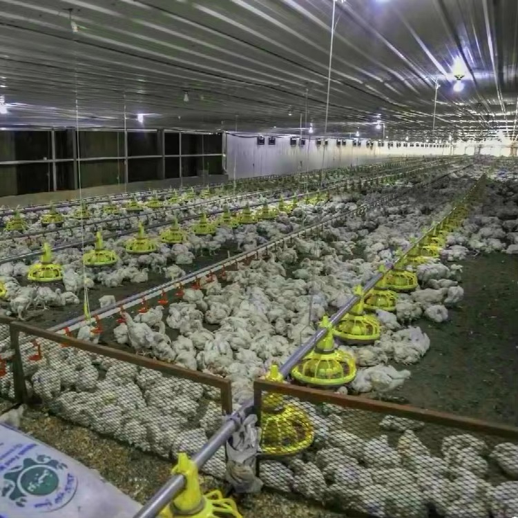 المعدات الزراعية للدجاج والدوا - مراجعة Farming Agriculture Equipment وسعره