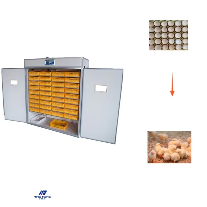 آلة تفقيس بيض الدواجن تعمل بال - مراجعة Poultry Incubator وسعره