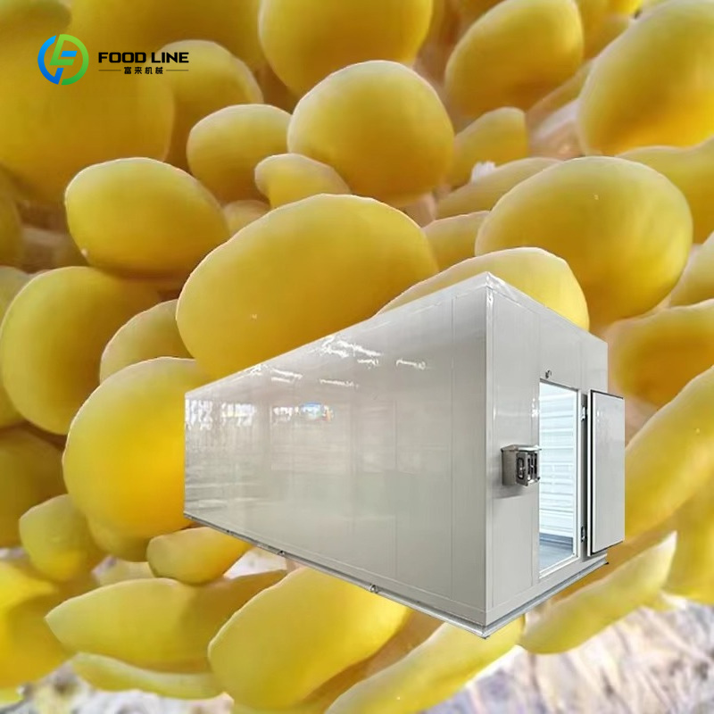 نظام زراعة الفطر الذكي المدعوم - مراجعة Smart Farming Technology In Agriculture وسعره