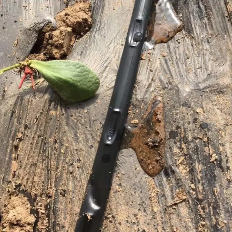 سعر المصنع: 1 تصميم نظام الري  - مراجعة Farming In Agriculture وسعره