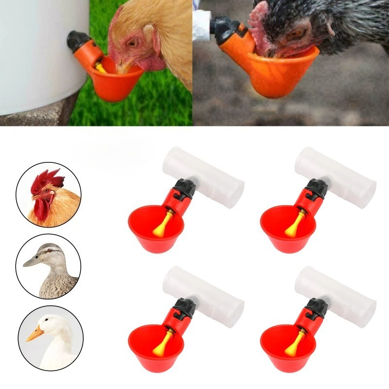 4 قطع من أوعية الشرب الأوتومات - مراجعة Chicken Nipple Drinker وسعره