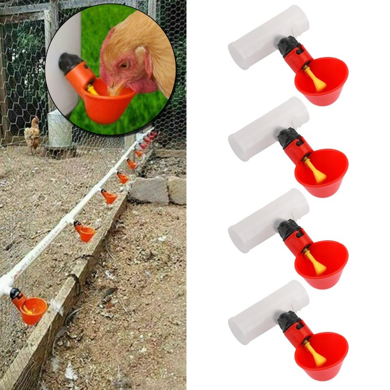 4 قطع من أوعية الشرب الأوتومات - مراجعة Chicken Nipple Drinker وسعره