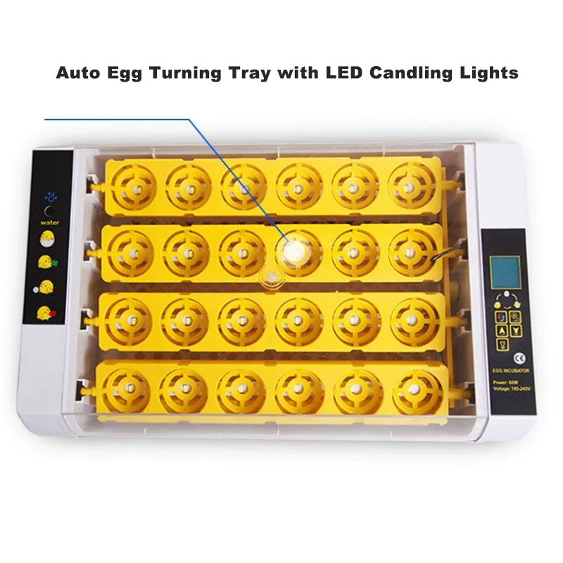 حاضنة بيض أوتوماتيكية بالكامل  - مراجعة Poultry Incubator وسعره