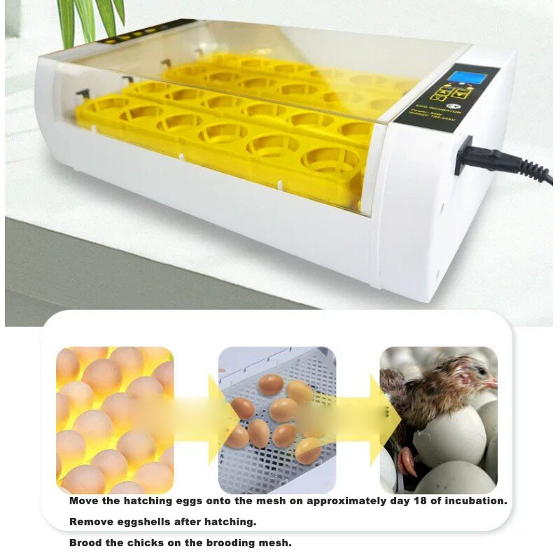 حاضنة بيض أوتوماتيكية بالكامل  - مراجعة Poultry Incubator وسعره