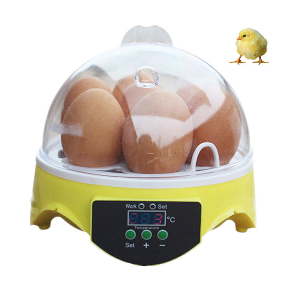 حاضنة بيض سعة 7 بيضات للدواجن  - مراجعة Poultry Incubator وسعره