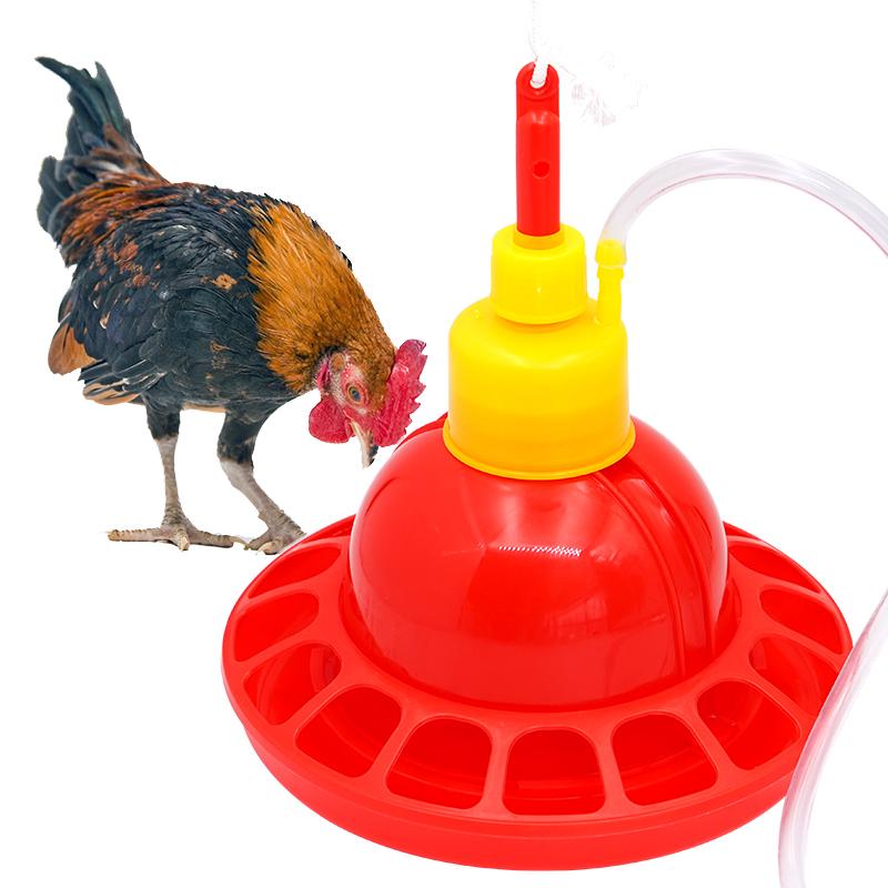 1 مجموعة الدجاج بطة أوزة اللاح - مراجعة Chicken Nipple Drinker وسعره
