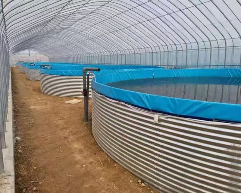 بطانة بركة من البلاستيك المقاو - مراجعة Farm Pond Liner وسعره