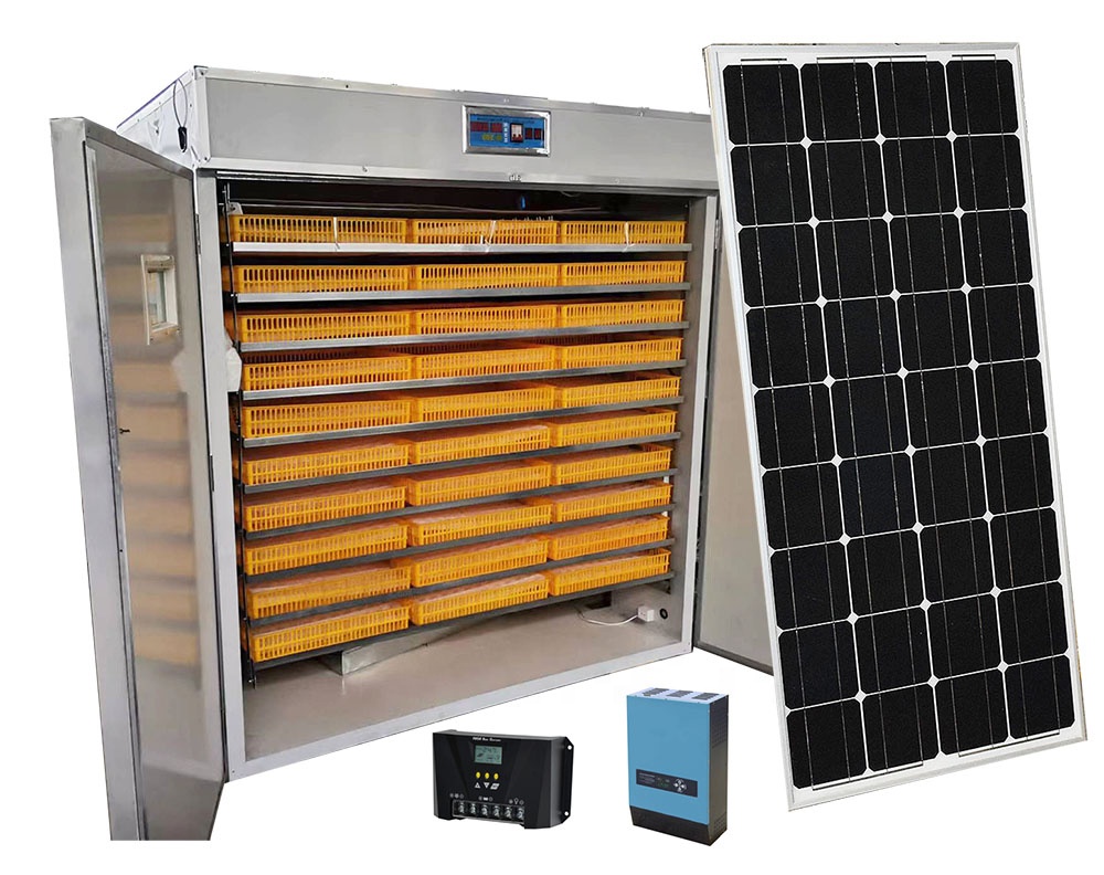 حاضنات بيض الدجاج الأوتوماتيكي - مراجعة Poultry Incubator وسعره
