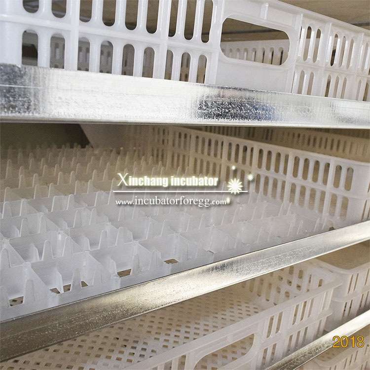 حاضنات بيض الدجاج الأوتوماتيكي - مراجعة Poultry Incubator وسعره