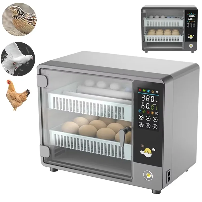 حاضنة بيض ذكية أوتوماتيكية مع  - مراجعة Poultry Incubator وسعره