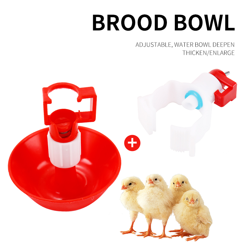 5/10 مجموعات التلقائي الدجاج ا - مراجعة Chicken Nipple Drinker وسعره