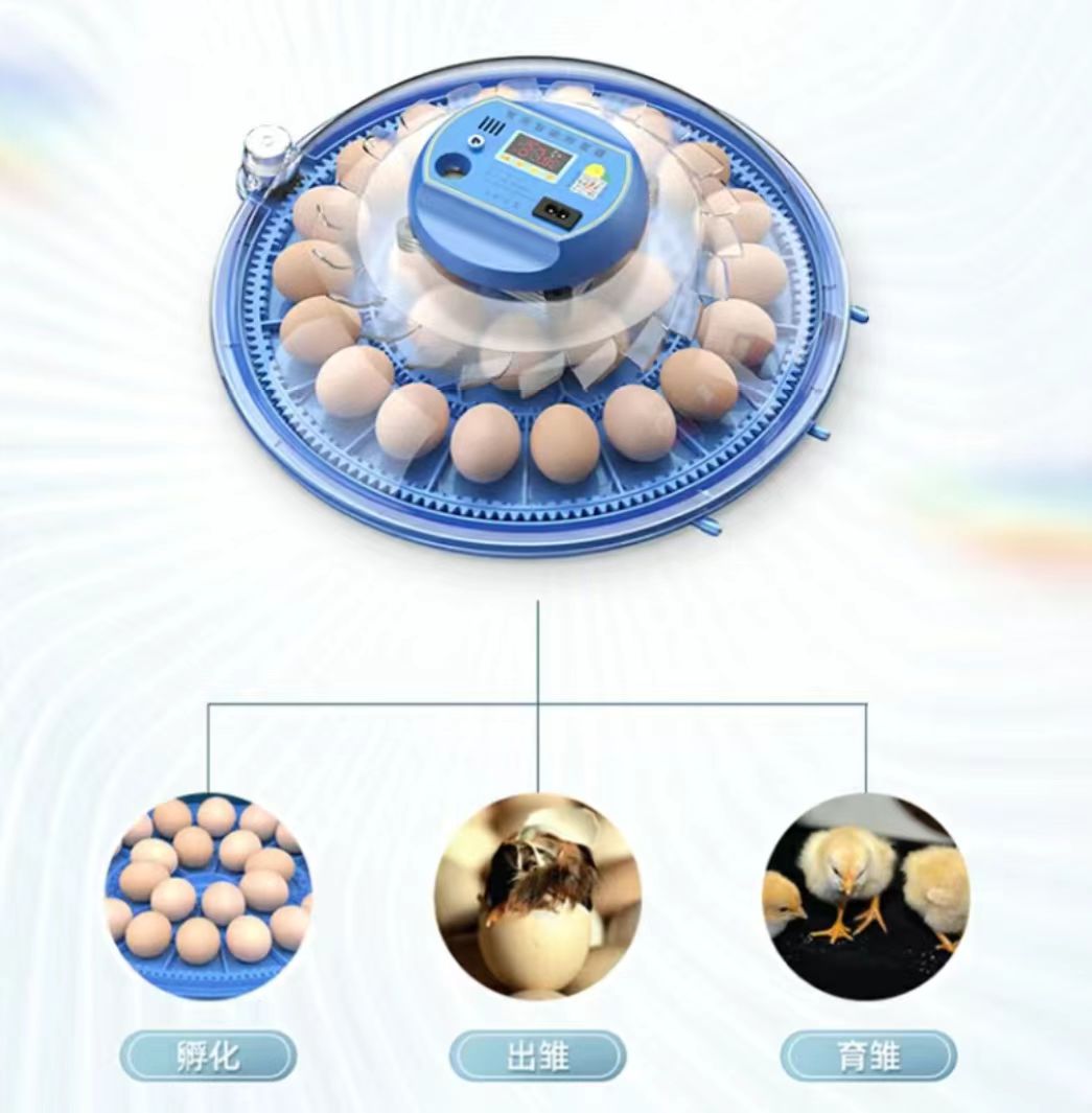 حاضنة بيض دجاج أوتوماتيكية بال - مراجعة Poultry Incubator وسعره